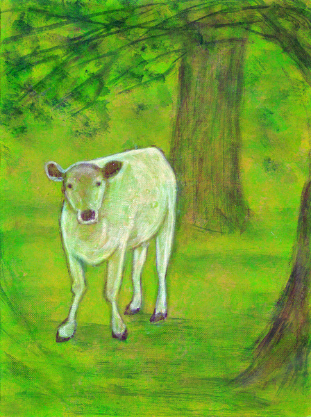 木陰の白い牛