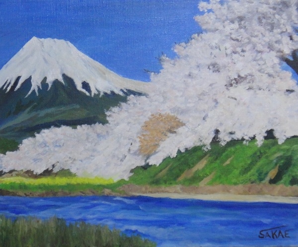 富士と桜 1
