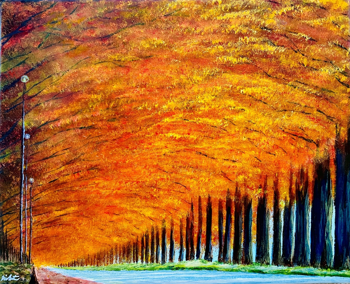 メタセコイアのトンネル