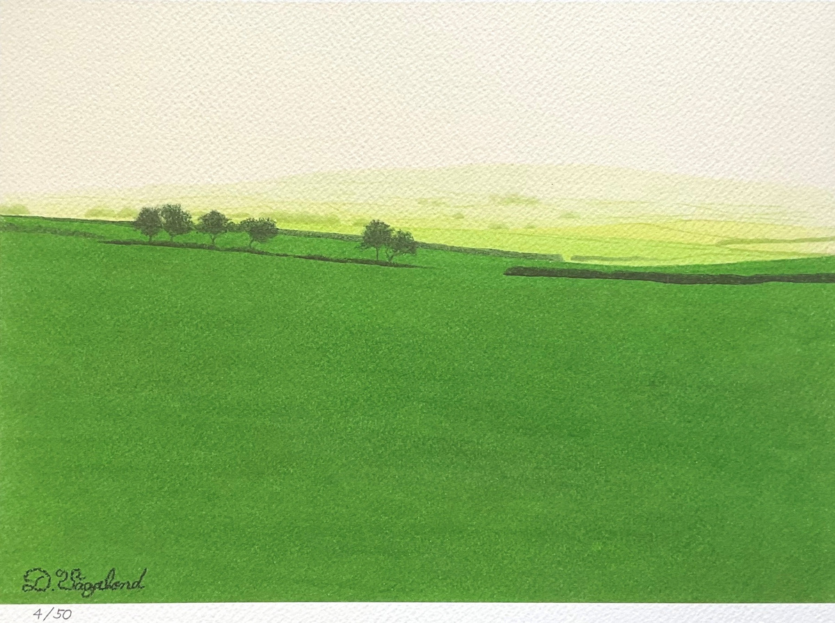 ヨークシャー(4/50)