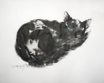 ちらっと見つめた黒い猫