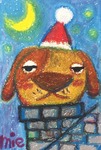 わんこ5