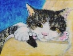 棚の上の猫