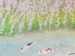 鯉としだれ桜