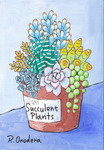 Succulent Plants 2