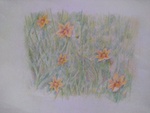野の花