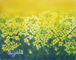 菜の花畑