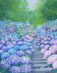 紫陽花の道