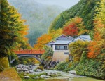 京都 清滝の紅葉