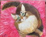ねこ。