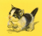 子猫