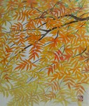 紅葉