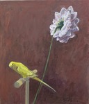 Flower14