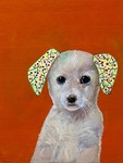 花犬