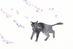 さんぽ