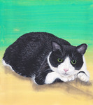 覗く猫