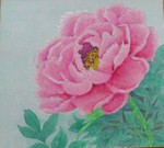 牡丹