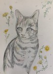 にゃっこちゃん6