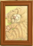 ごめん寝