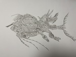 奇妙な深海魚