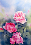薔薇のエチュード