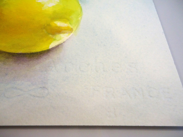 「黄色と緑の果物」部分拡大です。
正面から見たらほとんどわかりませんが、画面右下に水彩紙の透かしがあります。