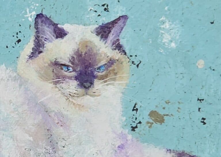 るりそらさんご本人による作品解説