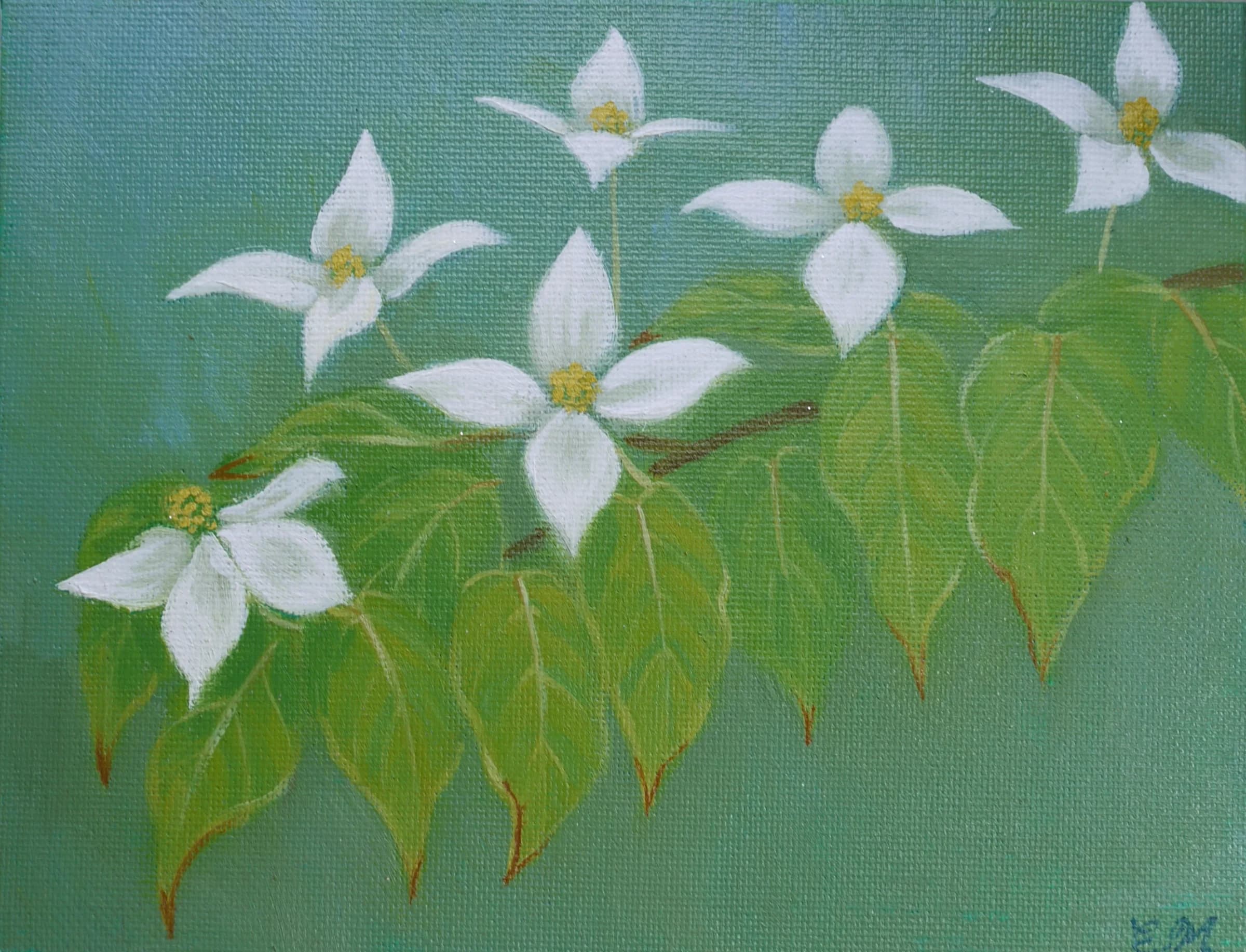 山の法師