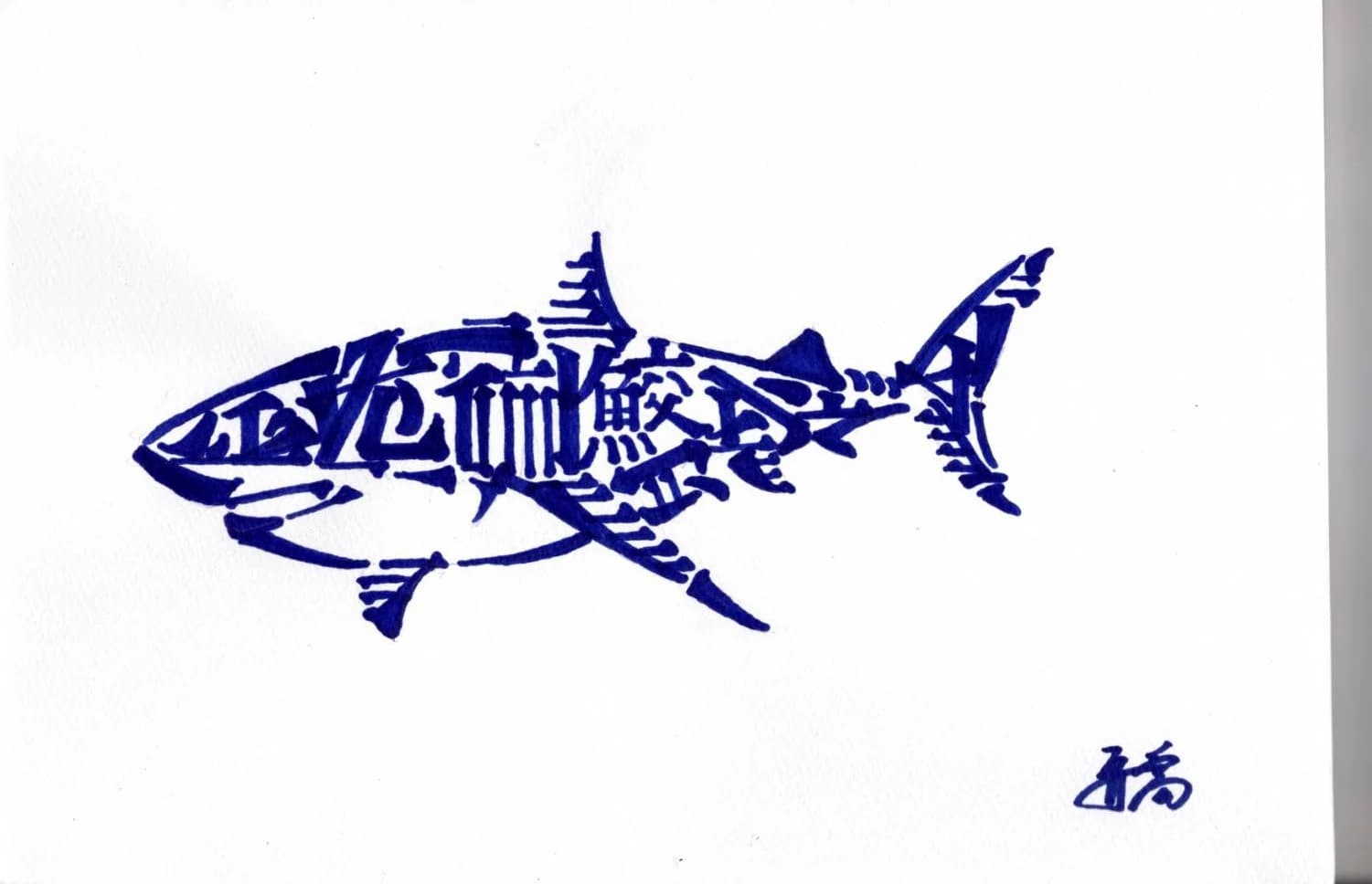鮫 Shark
