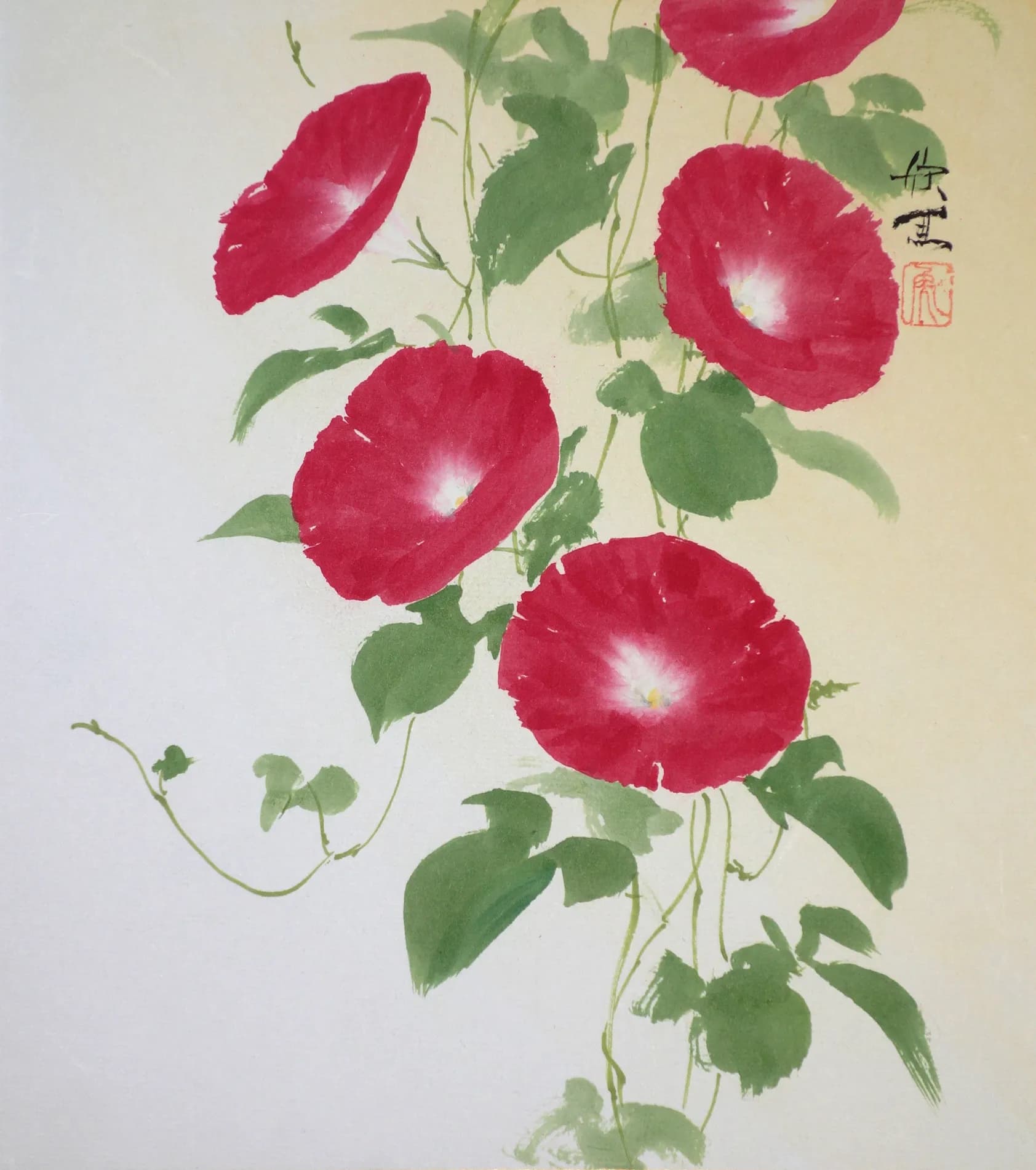 朝顔