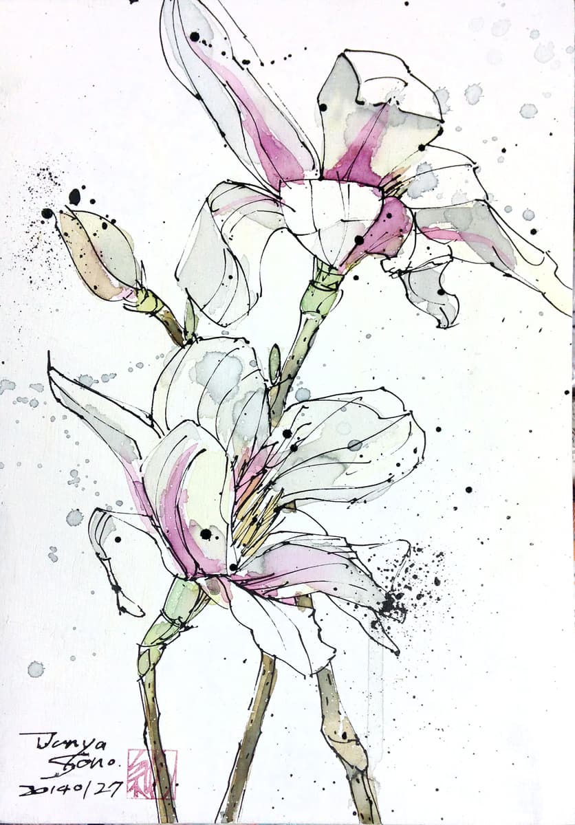 20140127-Magnolia