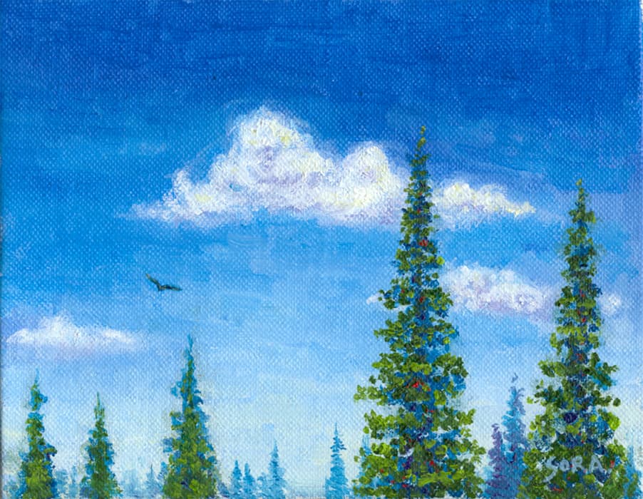Summer Forest