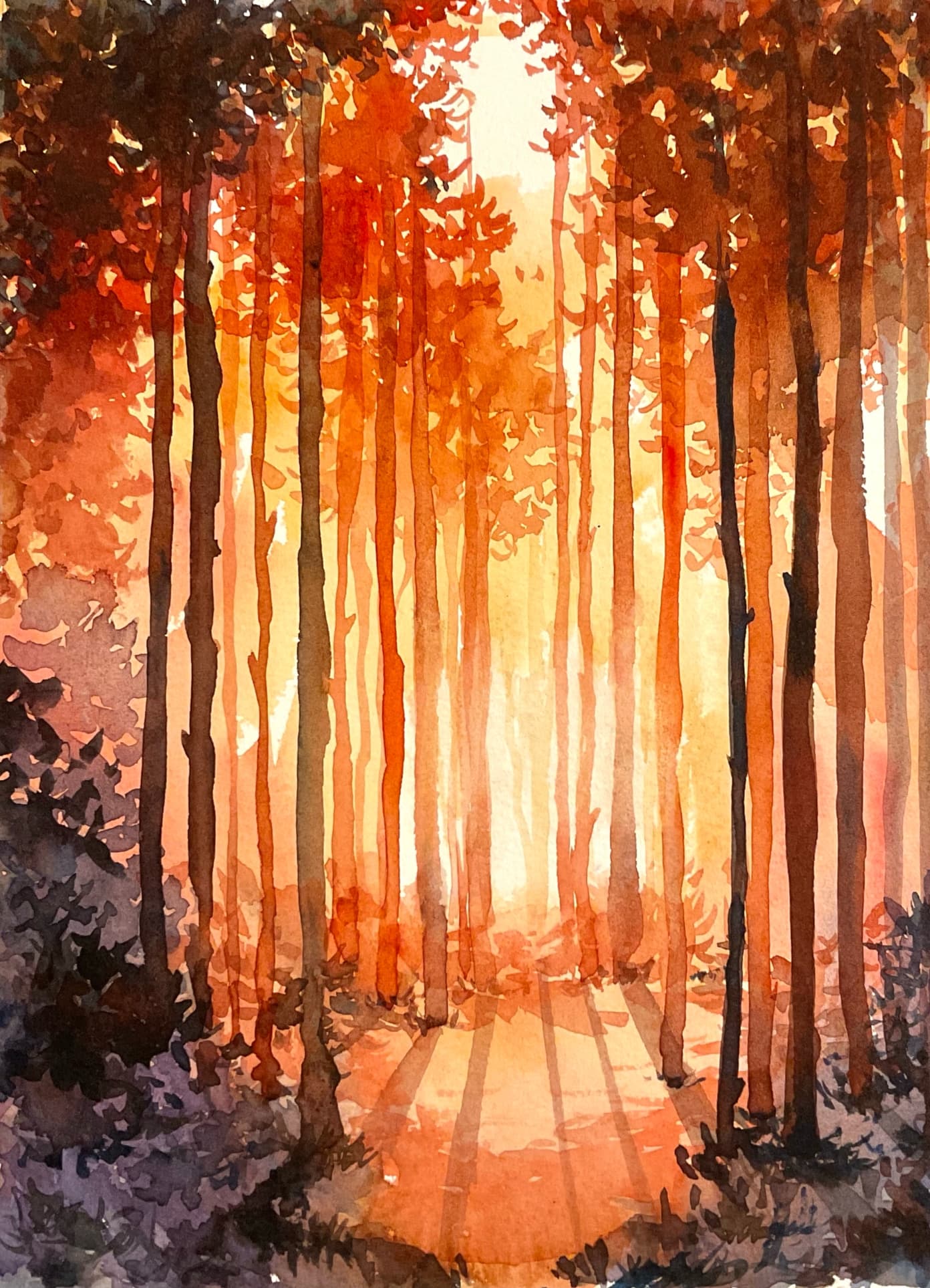 日暮の森