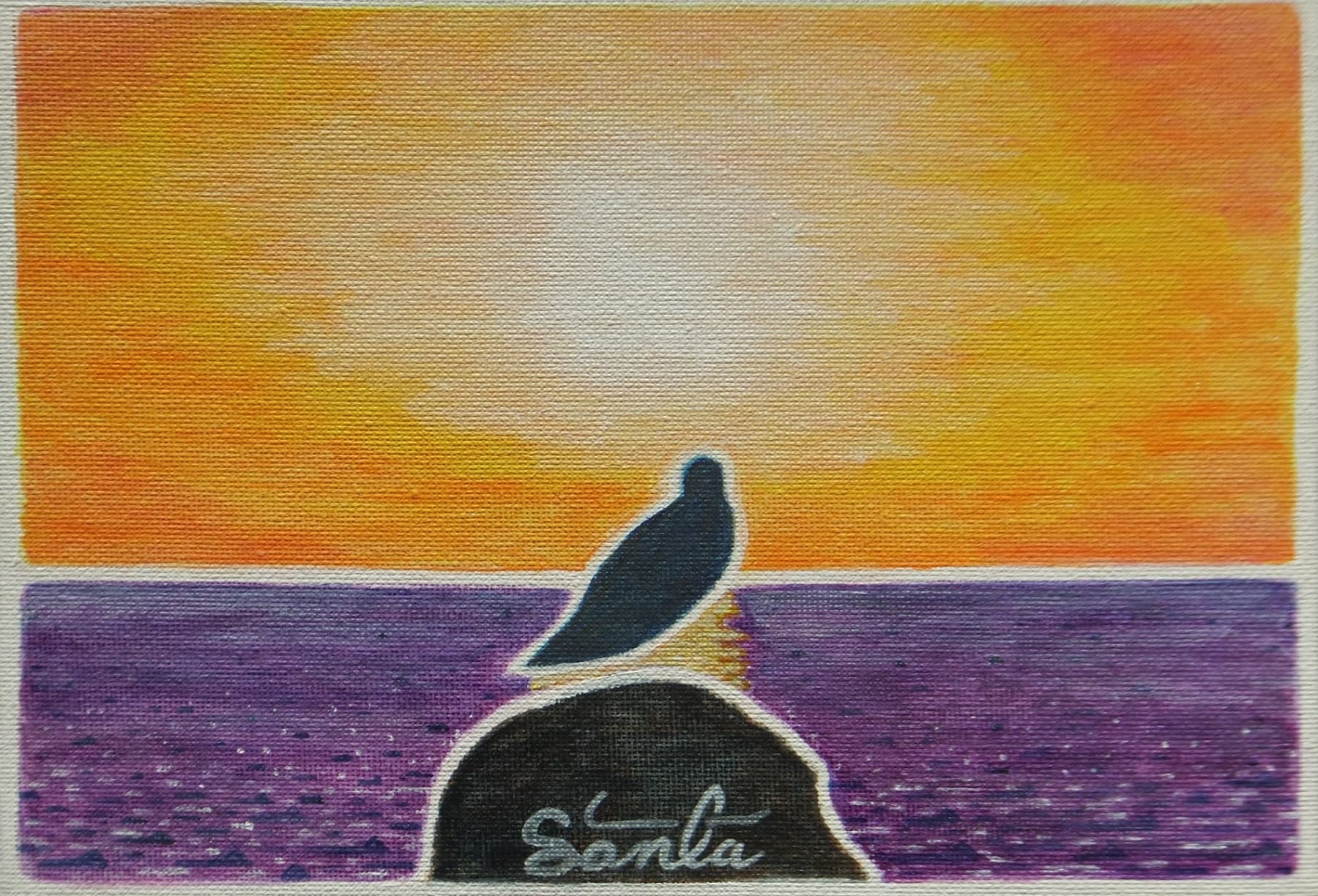 gull in the sunset