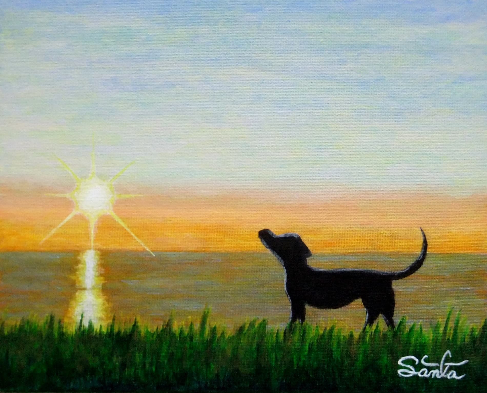 sunset melody #14
