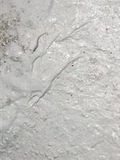 佐々木星燦