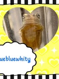 bluewhity