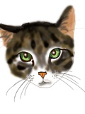 猫の手：画家レベル1の画家画像