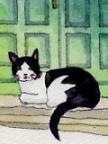 長 たまき