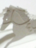 NN