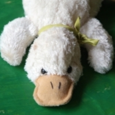 TERU