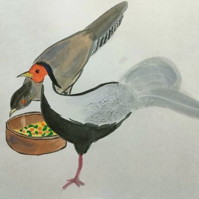 輝野洪瑞