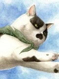 柴猫由貴
