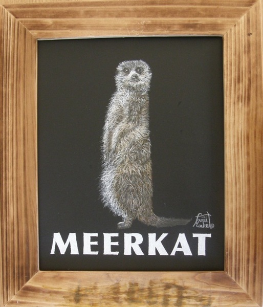 MEERKAT