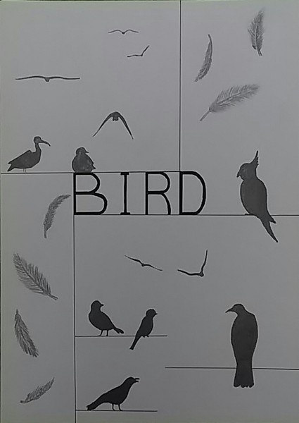 鳥