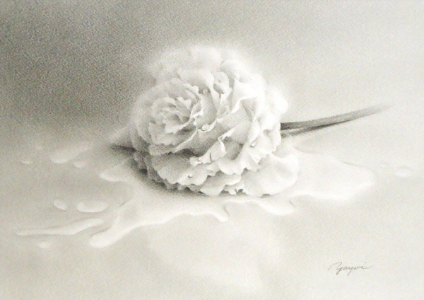 デッサン スケッチ画 花 やよい Art Meter