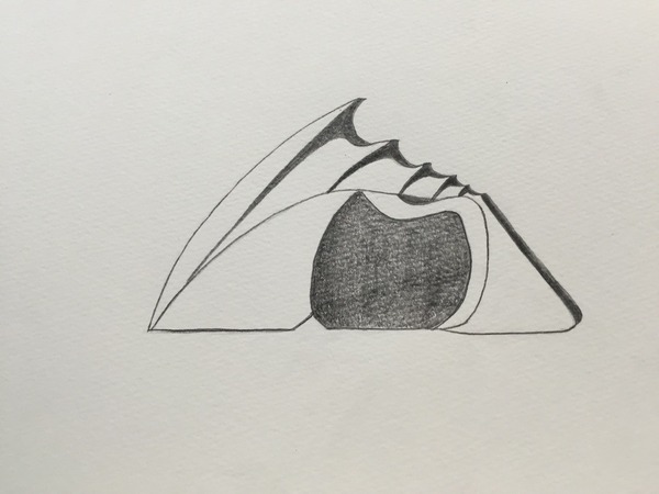 形