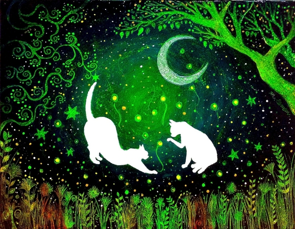 夏の夜の光