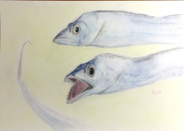 タチウオ