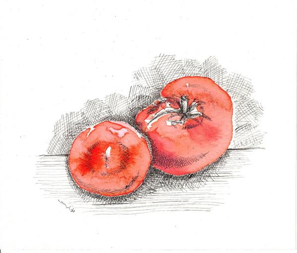 TOMATO